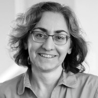 Chief Executive, South Africa Institute of International Affairs (South Africa)