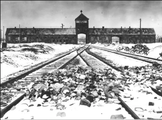 www.auschwitz.org